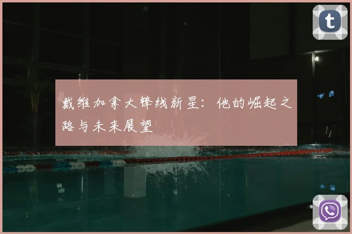 戴维加拿大锋线新星:他的崛起之路与未来展望