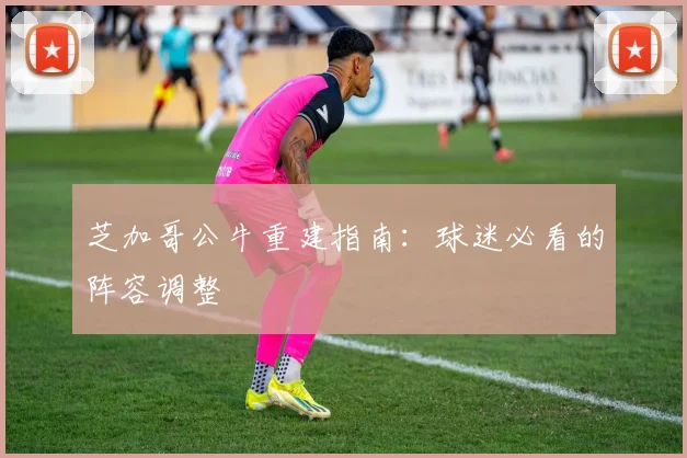 芝加哥公牛重建指南：球迷必看的阵容调整